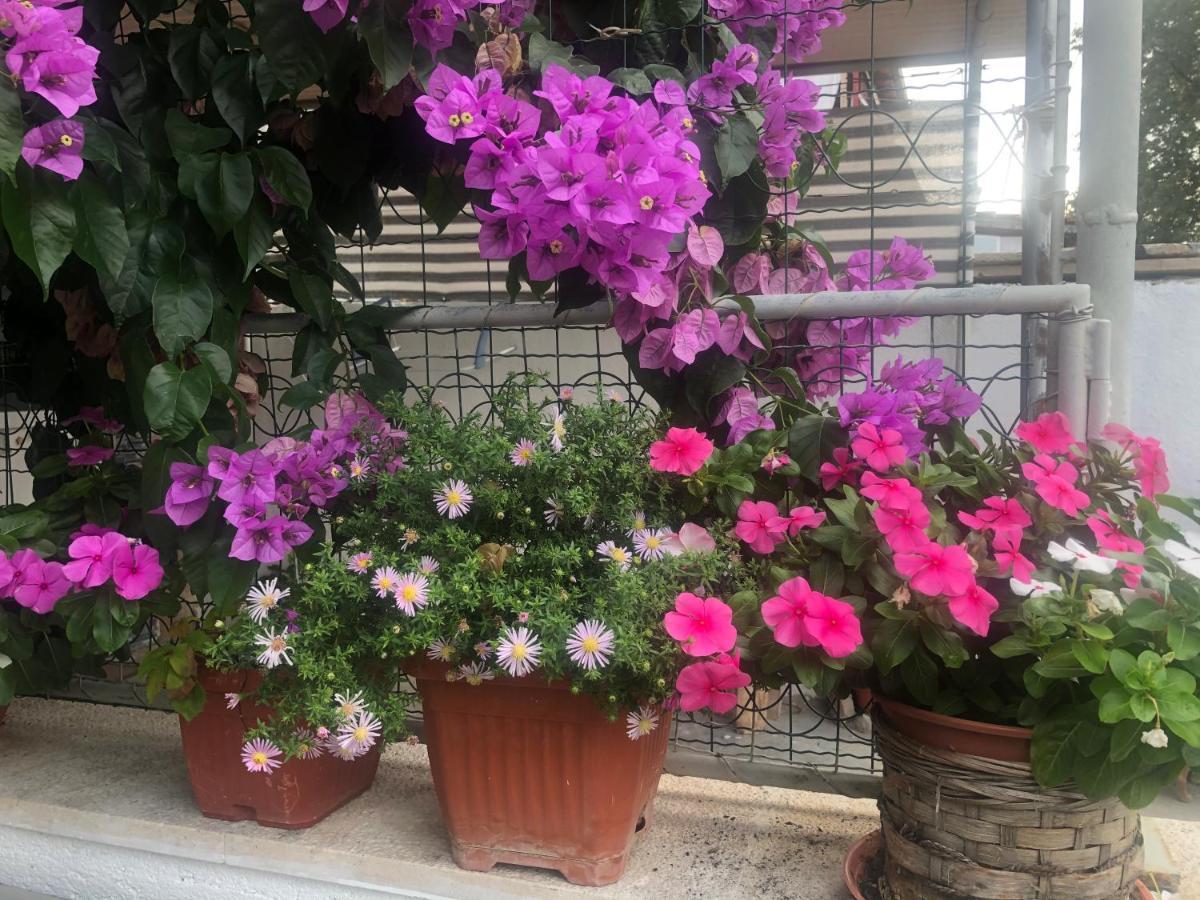 Apartmani Josipa Sibenik Exterior photo